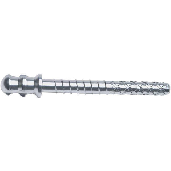 ParaPost® XT™ Titan-Wurzelstift
