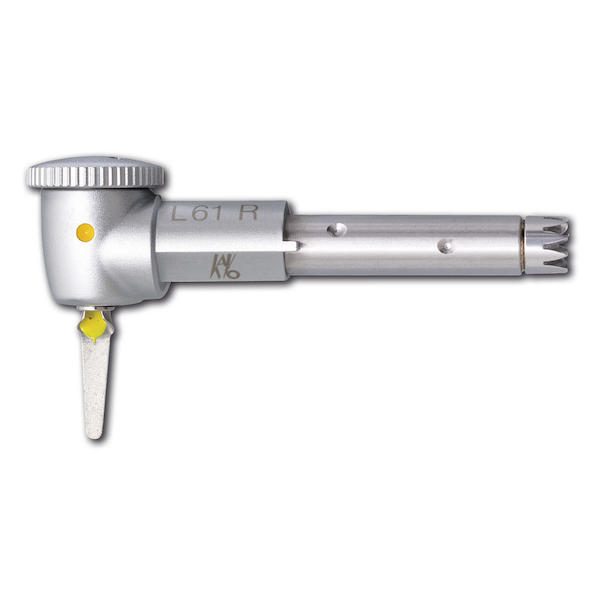 INTRA Kopf L61 R